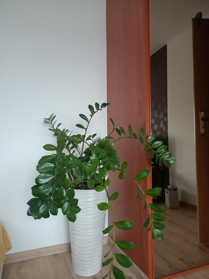 Pomaranczowa Apartment Шчечин Екстериор снимка